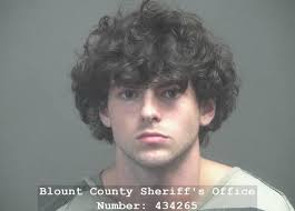 HYLE, OWEN MAXWELL Charges: DOMESTIC ASSAULT INTERFERING WITH EMERGENCY  PHONE CALL This information and more is available  https://apps.myocv.com/share/a95737804