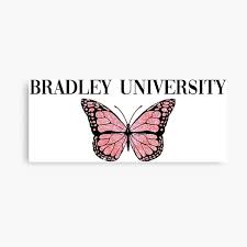 The embedded release notes feature allows default release information to be viewed directly in canvas. Bradley University Wall Art Redbubble