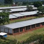 Building a Comfortable 220M Long Chicken House