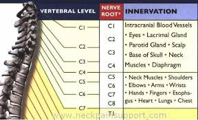 Pin On Occupational Therapy