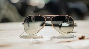 Юлия лос, основатель brandme.agency и brandme.academy, и ния мия. Estimation Jungle Amazonienne Navette Lunette Freddie Mercury Lustre Velours Reflechir