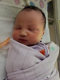 huffer brothers schedule