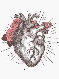 Anatomical Heart Floral Sticker By Nameonshirt Heart Drawing Anatomical Heart Art Human Anatomy Art