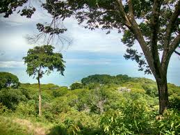 This 4km long beach is rated as one of the best beaches to surf at in costa rica and central america. Dominical Costa Rica Lage Strand Surf Optionen Und Weitere Aktivitaten