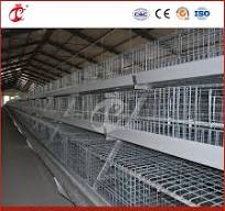 Bestchickencage China Breeding Chicken House Supplier a Frame Automatic  Broiler Cages Custom Wood Material Coop Hen House