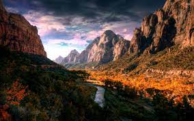 Browse millions of popular national park wallpapers and ringtones on zedge and personalize your phone to suit you. Zion National Park Nationalpark Tapete 2560x1600 Wallpapertip