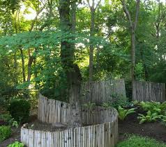 The ideal time to start getting rid of invasive bamboo is in the spring. Repurposing Invasive Bamboo