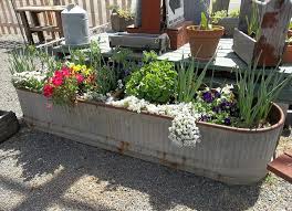 Reuse An Old Water Trough As A Planter Planting Flowers Garden Containers Container Gardening