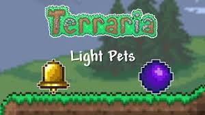 This guide will detail how players can find the zoologist npc, bestiary and get a pet cat in terraria 1.4. The Best Pet In Terraria Herunterladen