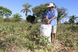 Resultado de imagem para PEQUENOS AGRICULTORES