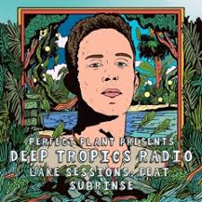 Stream Rinse FM Podcast