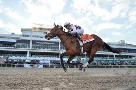 Top horses in the belmont stakes 2021: Five Stories To Watch For The 2020 Belmont Stakes Baltimore Sun