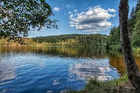 278 likes · 5 were here. Zwischen Titisee Und Schluchsee Im Schwarzwald Liegt Der Malerische Windgfallweiher Schwarzwald Hochschwarzwald Black Forest Natural Landmarks Forest House
