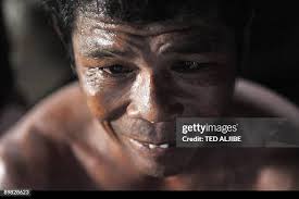 87 Cecil Grace Stock Photos, High-Res Pictures, and Images