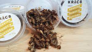 The most important countries with a camel population of more than 1. How Much Protein Is In A Cricket