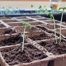 Derek Whitley (@derekwhitley1) • Instagram photos and videos