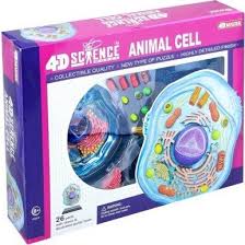 We did not find results for: 4893409267008 Famemaster 4d Science Animal Cell Anatomy Model