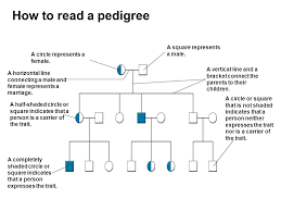 Mrs Reynolds 8th Grade Science Pedigree Charts