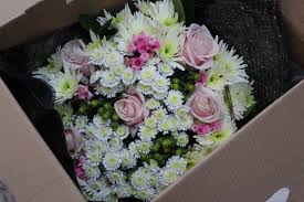 Maybe you would like to learn more about one of these? What The Redhead Said Page 177 Of 330 The Future S Bright The Future S Ginger