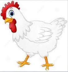 Kumpulan Gambar Ayam Jago Kartun Lucu Terupdate Download Berbagai Gambar Lucu Tentang Ayam Bangkok Untuk Status Wha Cartoon Vector Illustration Illustration