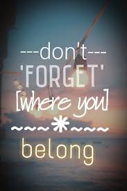 Don T Forget Where You Belong One Direction One Direction Songs One Direction Lyrics One Direction Quotes