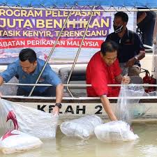 Jalan sultan, 46667 petaling jaya, selangor darul ehsan. Program Pelepasan Benih Udang Lembaga Kemajuan Terengganu Tengah