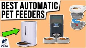 Get more freedom and happiness by choosing the best automatic cat many customers reported that their cats were scared of this feeder at first. Top 10 Automatic Pet Feeders Of 2021 Video Review