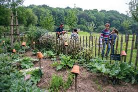 Un Parc Ou Le Temps Suspend Son Vol Journal Paysan Breton