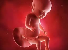 31 Weeks Pregnant The Baby S Brain Is Developing Fast Times Of India