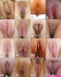 vagina classification porn - Sexy photos