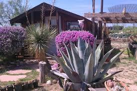 We found 3 luxury apartments for rent in horizon city, tx on realtor.com®. Cactustown Usa San Angelo Texas