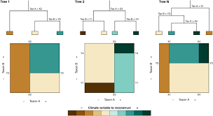 While de jesus dos santos admits that the delay will be most difficult mentally, she also sees a chance to improve in the time before competition kicks off. Pollen Based Climate Reconstruction Techniques For Late Quaternary Studies Sciencedirect
