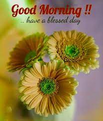 We did not find results for: á… Top 55 Good Morning Images With Flowers Hd Pictures