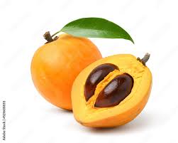 Image result for Pouteria