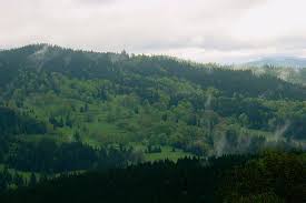 Laut der bauernregel wird es zwischen dem 4. Eisheilige Und Schafskalte Ubz