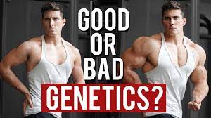 A genetic test can give you a measure of your body composition response to strength training. How Good Are Your Genetics For Muscle Gain Vitruvian Model Of Genetics Youtube