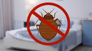 Bed bug bites are brownish, oval, and small insects that live on the skin or blood. How To Get Rid Of Bed Bugs Naturally And Fast Guaranteed Bed Bug Killer Premo Natural Products
