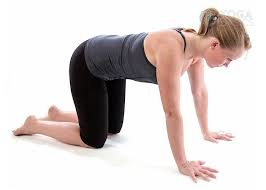 Table Pose Seated Yoga Poses Yoga For Beginners Yoga Poses