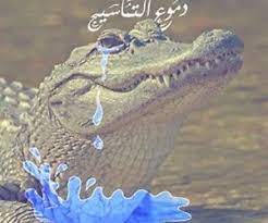 تفسير رؤية التمساح في الحلم معنى التماسيح في المنام fish pet arabi quran verses