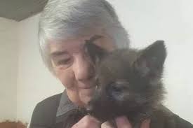 Pound puller' explains important role they play in saving rescue dogs