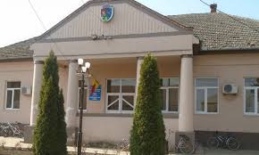 Ani In Vizită De Lucru La Primăria Dudeștii Vechi