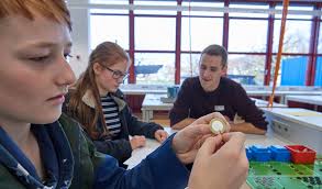 Innovative Förderung der MINT-Kompetenzen