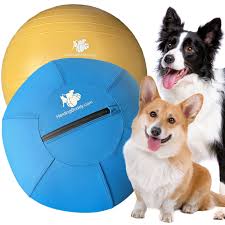 18-inch Herding Ball for Dogs with Heavy Duty Cover