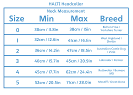 Halti Headcollar Size Chart Best Picture Of Chart Anyimage Org