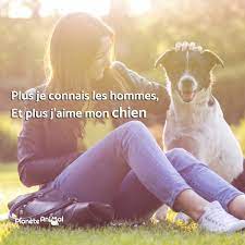 10 bonnes raisons d adopter un chien de la rue adopter un chien chien aimer mon chien