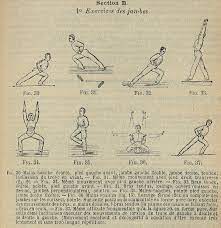 La gymnastique à la barre fixe ou aux anneaux rend plus intense les exercices basiques. File Positions Et Mouvements De Gymnastique Jpg Wikimedia Commons