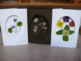 You can make your own greeting cards with dried flowers that have been pressed. Pressed Flower Greeting Cards Garden Magic Creative Inspiration