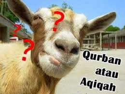 Rasulullah shalallahu alaihi wa salam bersabda itulah materi akikah yang meliputi pengertian akikah, hukum, waktu pelaksanaan, tata cara akikah dan juga hikmahnya secara lengkap. Ketentuan Penyembelihan Hewan Aqiqah Dan Kurban Akbar Aqiqah Jakarta Bekasi