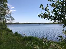There are many pleasant walking paths, including around the lake. Shabbona Area Treats Review Of Shabbona Lake State Park Shabbona Il Tripadvisor