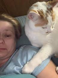 Anyone missing this cat? Near nine mile and Saginaw rd in Sanford.